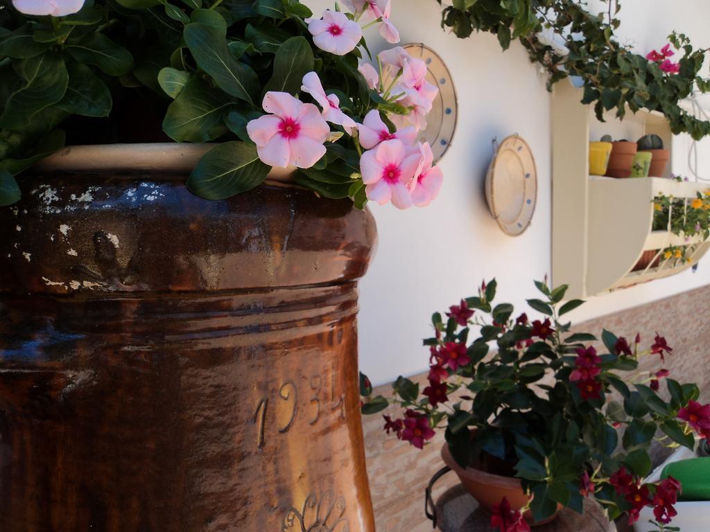 B&B Il Viandante Mesagne Zewnętrze zdjęcie